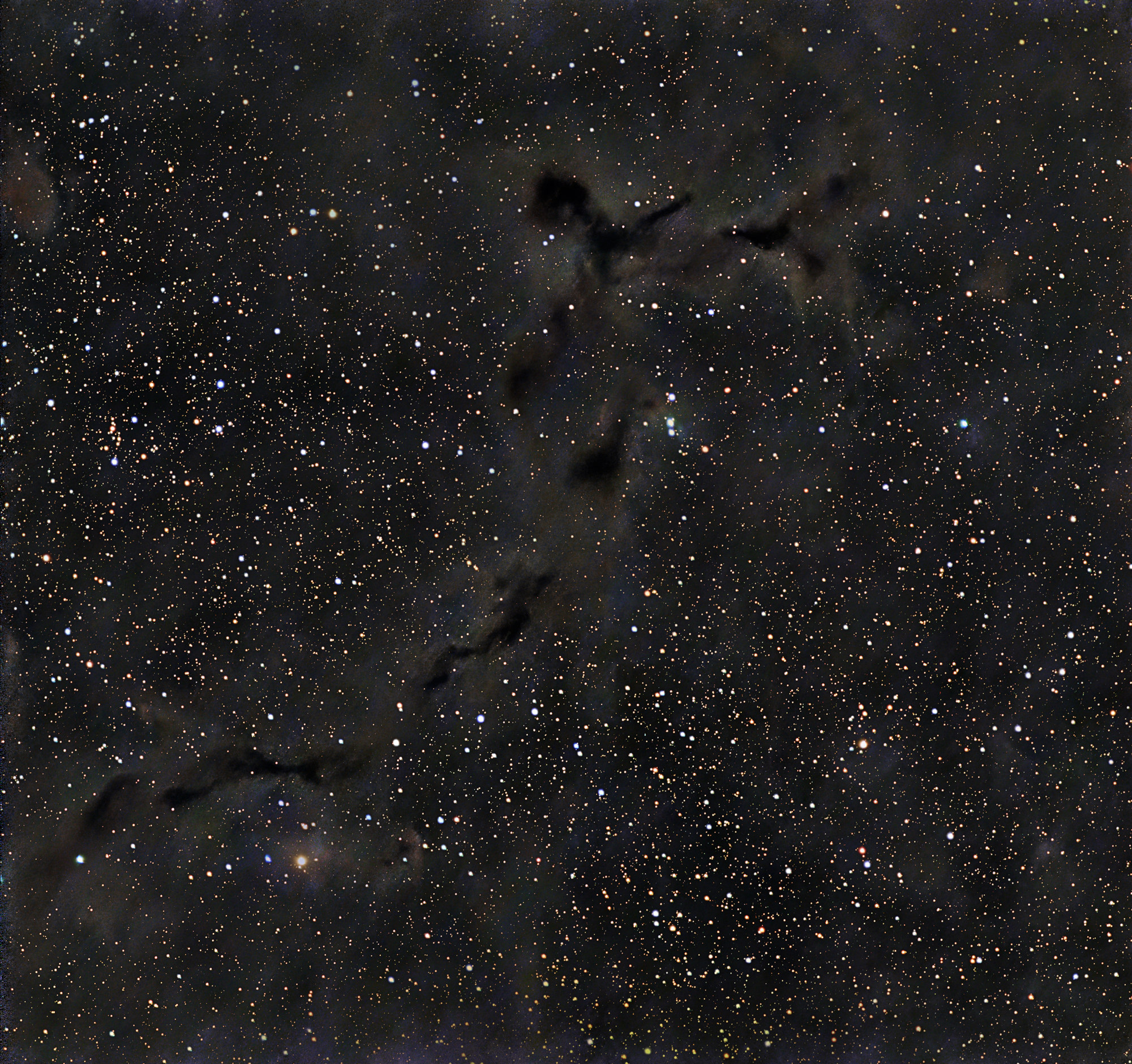 Seepferdchen Nebel, Barnard 150 ist ein Dunkelnebel im Sternbild Kepheus.